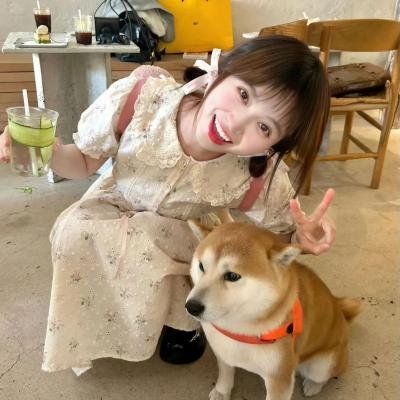 恋恋书中人